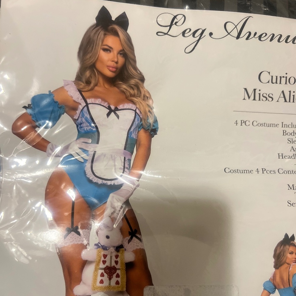 Alice in wonderland adult costume